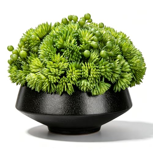 Briful Succulents Plants Artificial in Ceramic Pots Fake Succulent Arrangement with Black Bowl Planter Large Faux Succulent Plants for Home Bathroom Shelf Desk Table Indoor Decor - color: Succulents Plant#1