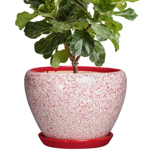 10 Inch Pots for Plants - Ceramic Planter Pots for Indoor Outdoor Plants, Decorative Planter with Drainage Hole and Saucer, Modern Flower Pot, House Decor, Plant Lover Gifts, Crackle Red - color: Crackle Red, size: 10 Inch