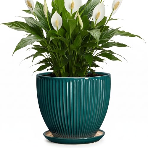 Ceramic Planter, 8 Inch Plant Pots with Drainage Hole and Saucer, Round Flower Pots for Indoor Plants, Modern Decorative Pot for Plants, Bathroom Decor, Gifts for Plant Lovers, Blackish Green - size: 8 Inch, style: Blackish Green