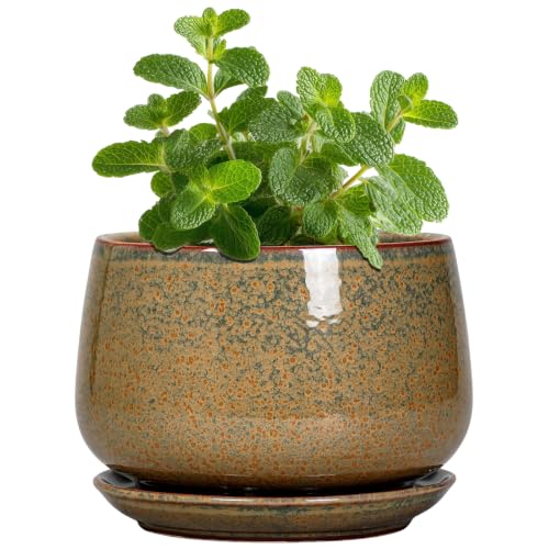 G EPGardening Ceramic Pots for Plants, 4 Inch, Speckled Brown | Succulent Pots with Drainage Hole & Saucer, Round Small Plant Pot for Indoor Plants, Home Decor, Gifts for Plant Lovers - color: Speckled Brown, size: 4 Inch