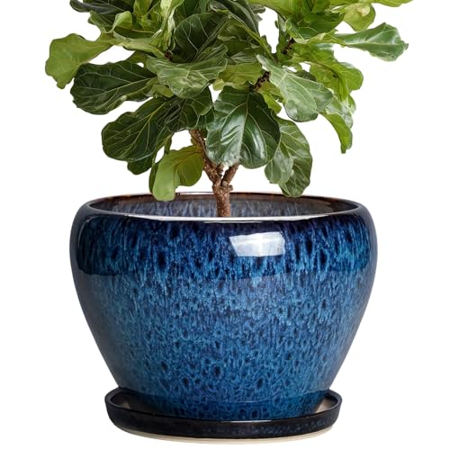 10 Inch Plant Pot, Ceramic Planter with Drainage and Saucer, Blue | Round Planters for Indoor Plants, Modern Planter, Large Flower Pots, Home Room Office Decor, Housewarming Gifts - color: Blue, size: 10 Inch