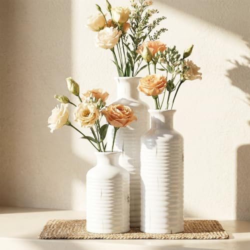 Firehold Crackle Glaze Ceramic Vase Set of 3, Decorative Flower Vases | Rustic Farmhouse & Boho Home Decor for Tables, Shelves & Mantels, Waterproof for Fresh & Dried Florals - color: 02-white