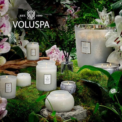 Voluspa Mokara Orchid Large Scented Candle Jar 18 Oz, 100 Hr Burn | Vegan Coconut Wax Blend With Natural Wick, USA Poured Gift for Hosts, Fragrance Lovers, Relaxed Rooms & Daily Ambience Use - color: 7 - Mokara Orchid