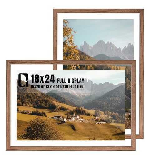 DLQuarts 18x24 Floating Picture Frame for 16x20/13x19/12x18/11x14 Photos, 2-Pack Solid Wood Double Plexiglass Wall Art Frames, Any Size Photo up to 18x24 Display, Carbonized Wood - color: Carbonized Wood, size: 18x24