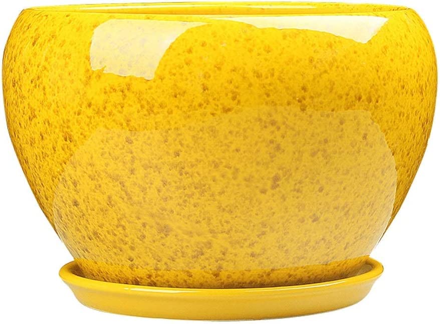 Yellow Ceramic Plant Pot with Tray Modern Glazed Round Flower Pot, Decorative Outdoor/Indoor Planter for Succulents, Cactus, Herbs, Unique Gardening Gift
