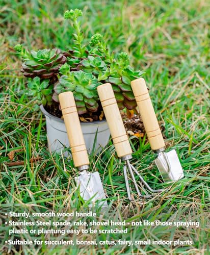 Josteve Plant Repotting Mat, 5Pcs Succulent Tools Mini Garden Small Gardening Tools Indoor, Pruning Shear Gardening Scissor, Hand kit for Bonsai, Cactus, Fairy, Houseplant Transplanting, Seedling - style: Luxury Garden Tools