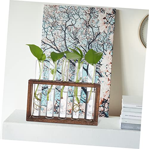 GALPADA Hanging Plant Propagation Station Set Hydroponic Glass Tubes with Cleaning Brush for Home and Office Decoration Wall-Mounted Plant Vase