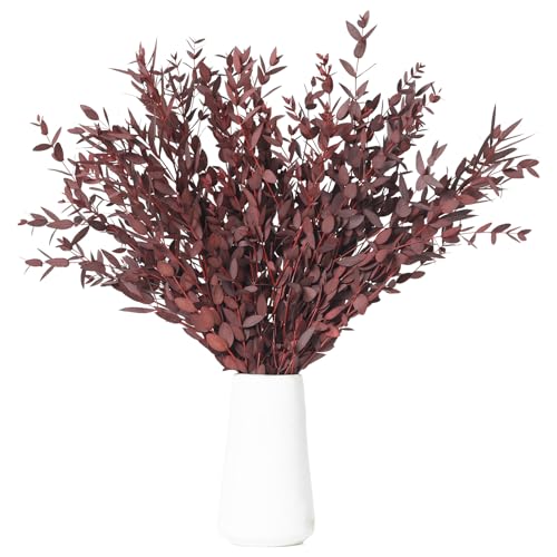 7-12 Pcs Preserved Eucalyptus Stems, 14-17" Red Leaves for Fall Decorations | Natural Real Dried Plant Branches, Flower Arrangement, Wedding, Farmhouse, Home Spa Fragrance, Bathroom, Crafts, Vase Filler - color: Red