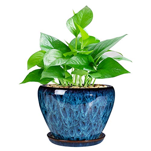 Ceramic Modern Glaze Succulent Planter Pot with Drainage Hole and Saucer 6 Inch Round Flower Plant Pot for Indoor Outdoor Herb Snake Plants - color: Blue, size: 6 Inch