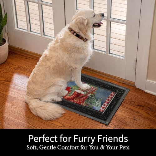 Evergreen Flag Holiday Christmas Sassafras Switch Mat 22" x 10", Interchangeable Front Door Mat Outdoor Entrance, Indoor Entryway Rug, Winter Sassafras Doormat Inserts (Winter Boots)