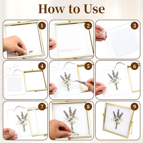 3 Pcs 6 x 6 Picture Frame with Gold Edge, Double Glass Pressed Flower Frame | Fits 4 Inch Picutre, Floating Glass Picture Frame for Dried Flowers, Plant Specimen, Photos, Postcard