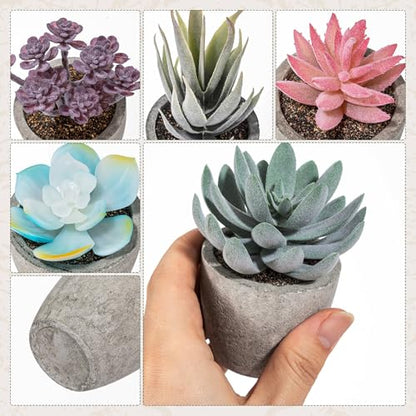 Set of 6 Artificial Succulents Potted - Realistic Mini Fake Cactus Plants in Paper Pulp Pots, 2-4'' Mixed Sizes for Farmhouse Shelf, Bathroom, Coatrack Shelf, Bedroom Indoor(Vivid Style) - style: Vivid Style