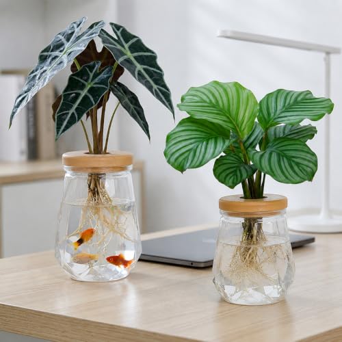 Desktop Hydroponic Plant Vase, Transparent Water Plant Jars with Lid, Plants Container for Desk, Indoor, Home, Office Decor and Outdoor for Gardening Gifts to Plants Lovers, Diamond Clear - color: Clear Diamond