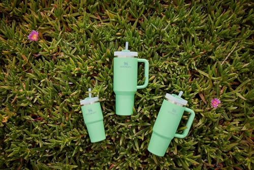 STANLEY Quencher H2.0 Tumbler with Straw 20 oz | Flowstate 3-Position Lid | Cup Holder Compatible for Travel | Insulated Stainless Steel Cup | BPA-Free | Jade - color: Jade, style: Classic
