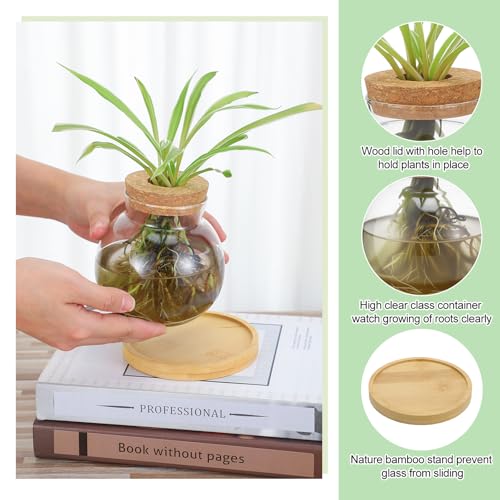 Layhit 4 Pcs Plants Propagation Stations vases Glass Planters with Wooden Lid and Bamboo Stand for Hydroponic Plants Gardening Gifts for Women Mom Home Office Tabletop Decoration(Lovely Style) - style: Lovely Style
