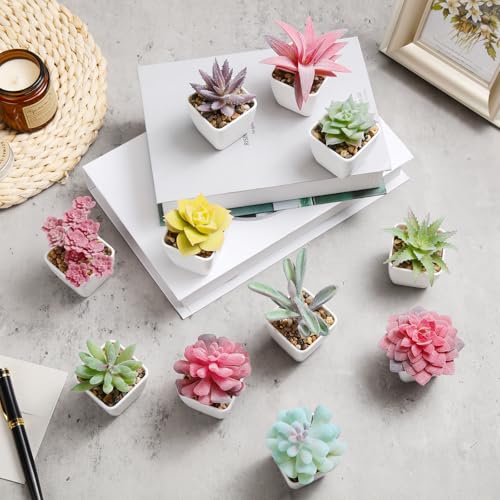48 Pcs Mini Artificial Succulent Plants Potted Assorted Decorative Fake Succulent Plants with Pots Small Faux Succulents in Pots for Room Bookshelf Desk Bedroom (Rosette Collection) - style: Rosette Collection
