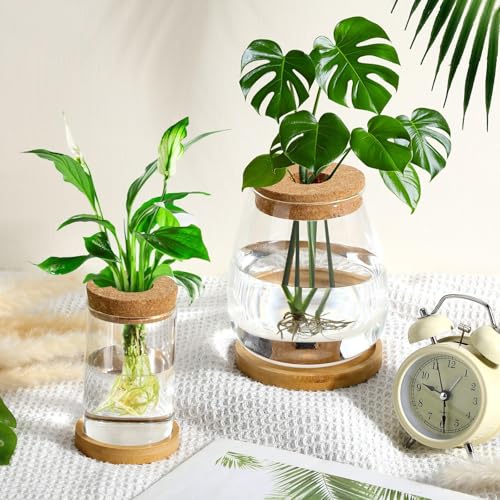 Layhit 4 Pcs Plants Propagation Stations vases Glass Planters with Wooden Lid and Bamboo Stand for Hydroponic Plants Gardening Gifts for Women Mom Home Office Tabletop Decoration(Classic Style) - style: Classic