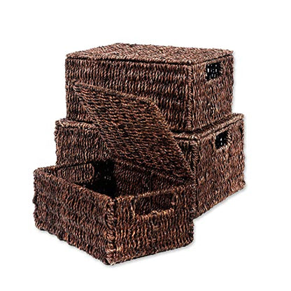 Trademark Innovations Set of 3 Rectangular Seagrass Baskets with Lids, Brown (Small) - color: Brown