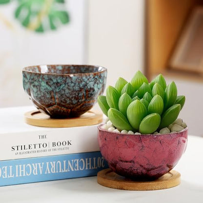 YYW Ceramic Succulent Planter, 4 Pack Cute Garden Pots with Drainage and Attached Saucer - color: Dark Ceramics