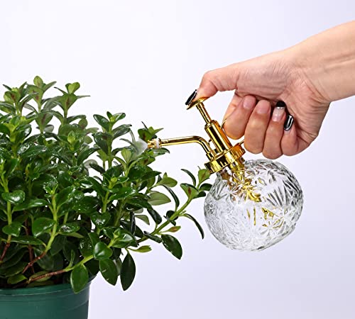 Glass Plant Mister Spray Bottle, 6.5" Clear Glass Water Spray Bottle with Gold Top Pump Small Watering Can, Small Plant Sprayer Mister for Indoor Outdoor House(Clear+Gold E) - style: Clear+Gold E