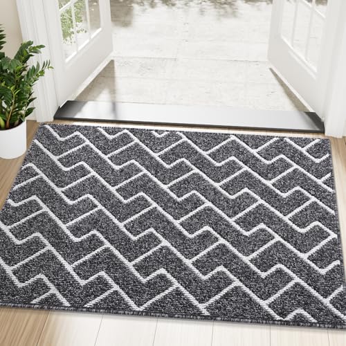 OLANLY Front Door Mat, Non-Slip Rubber Backing, Dirt Resistant and Absorbent, Washable, Easy to Clean Low-Profile Indoor Doormat for Back Door, Entryway, Inside Entrance, 48x32, Black - color: Black, size: 48" X 32"