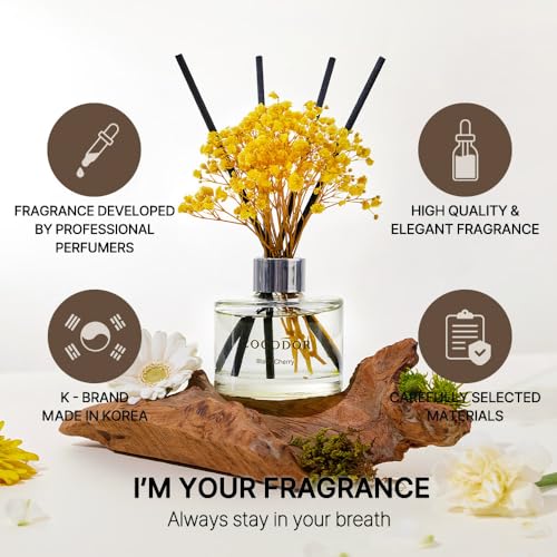 COCODOR Preserved Real Flower Reed Diffuser/Clean Linen / 6.7oz(200ml) / 2 Pack/Reed Diffuser Set, Oil Diffuser & Reed Diffuser Sticks, Home Decor & Office Decor, Fragrance and Gifts - size: Real Flower/6.7Ounce/2Pack