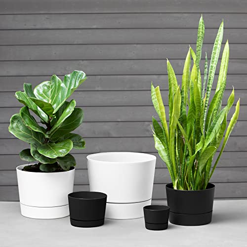 Root & Vessel Majestic Mid-Century Modern Low Profile Cylinder Pot, Matte Black, 10.5" - color: Matte Black, size: 10.5-Inch