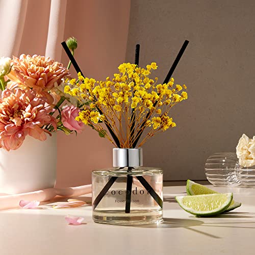 COCODOR Preserved Real Flower Reed Diffuser/April Breeze / 6.7oz(200ml) / 2 Pack/Reed Diffuser Set, Oil Diffuser & Reed Diffuser Sticks, Home Decor & Office Decor, Fragrance and Gifts - size: Real Flower/6.7Ounce/2Pack