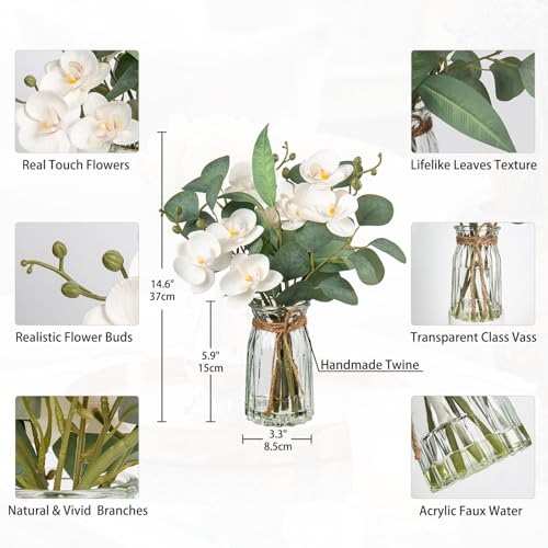 White Orchids Artificial Flowers with Vase Fake Flowers in Vase Artificial Eucalyptus Stems in Glass Vases with Faux Water Faux Orchid with Eucalyptus Leaves Arrangement for Dining Table Centerpiece - color: White & Clear Vase