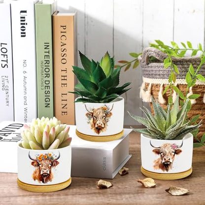 3Pcs Highland Cow Succulent Pots with Drainage and Bamboo Tray,3 Inch | Small Ceramic Planters for Plants,Cactus,Decoration for Office Home,Windowsill,Gifts for Women Mom (No Plants Included) - style: Highland Cow