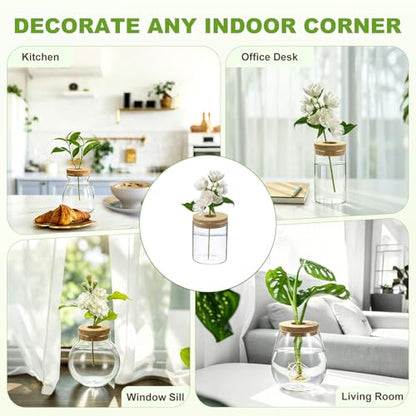 M METERXITY 1 Pack Glass Planter Terrarium with Wooden Cover, Desktop Plant Propagation Station Clear Vase for Hydroponic Plants Propagation/Home Garden Decor/Plant Lover [3.35'' x 3.94''] - size: 3.35'' x 3.94''