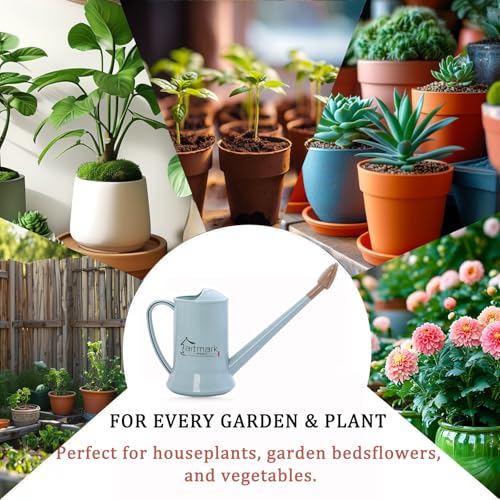 2L Thick Plastic Watering Can with Long Spout – Lightweight Garden Watering Can for Indoor & Outdoor Plants, Flowers, Balcony –Durable & Leakproof (Blue) - color: Blue