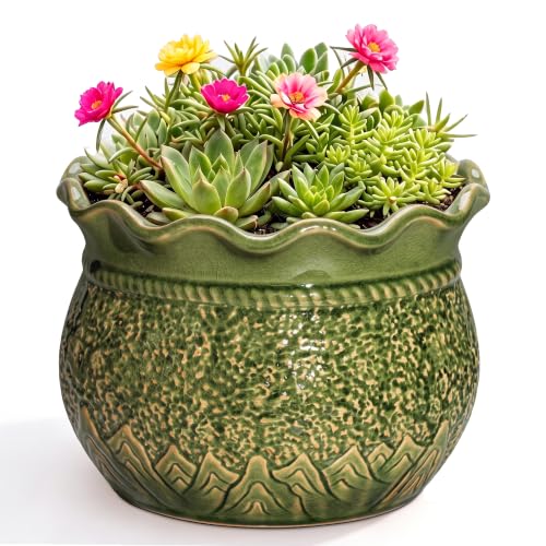 8 Inch Flower Pot, Ceramic Pots for Indoor Plants, Crack Green | Ceramic Succulent Planters with Drainage Hole, Decorative Unique Plant Pot, Bathroom Decor, Plant Lover Gifts - color: Crack Green, size: 8 Inch