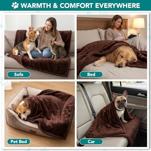 PetAmi Dog Blanket Small Medium Pet Cat Puppy Kitten, 40x29, Solid Brown | 460 GSM, Soft Sherpa Fleece Throw, Reversible Plush Couch Cover Protector Crate Carrier Sofa Bed Car Seat, Machine Washable - color: Brown/Brown Sherpa, size: Medium - 29 X 40 Inch