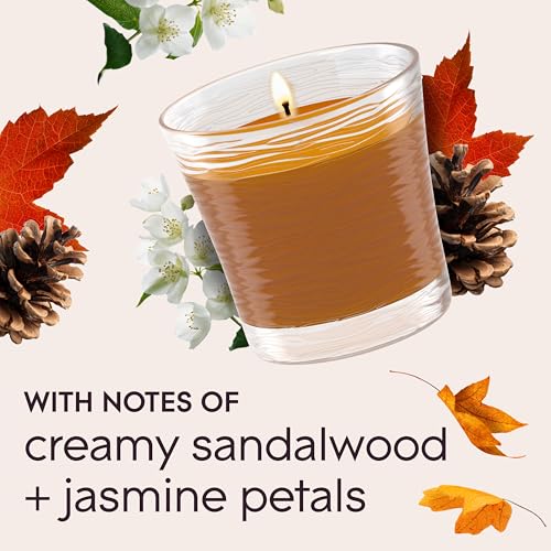 Glade 1-Wick Scented Candle Jar, Cashmere Woods, Air Freshener Infused with Essential Oils, 4.08 Oz, 2 Count