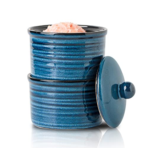 Hasense Ceramic Salt Cellar with Lid, 9 oz Salt and Pepper Bowls, Stacked Salt Box for Countertop Stovetop, Blue Farmhouse Kitchen Decor, Set of 2 - color: Blue