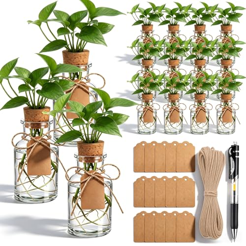 15 Pack Plant Propagation Stations with Hole Lid Tag,Cylindrical | 4.05'' Glass Propagation Jars, 4 oz Clear Hydroponic Planter Vase Bulk for Plant Lovers, Indoor, Office, Home, Garden