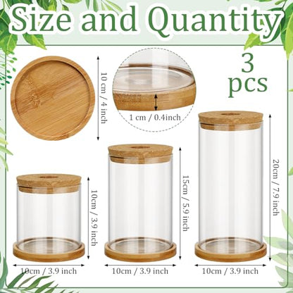 3 Pcs 3 Sizes Plant Propagation Station Separated Glass Plant Terrarium Water Hydroponic Planter Holder with Lid and Wooden Stand Propagation Vase Pot for Home Indoor Office(Common Sizes) - size: Common Sizes