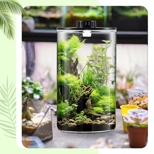 Glass Plant Terrarium Kit with LED Grow Light, Desk Terrarium for Venus Fly Trap, Succulents, Moss & Miniature Garden, Borosilicate Glass Desktop Planter for Home Office(9.8 x 5.9 Inch) - size: 9.8 x 5.9 Inch