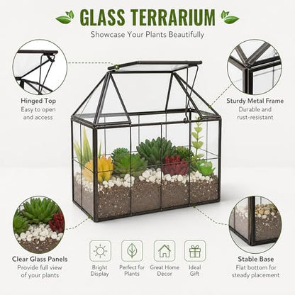 FerrisIsland Glass Aquarium Greenhouse Succulent Plant Aquarium Container | Glass Aquarium Greenhouse Succulent Plant Aquarium Aquaculture Container Desktop Decoration Garden DIY Kit(7.3"H) - size: 9.1"L x 7.3"H 5.4"W