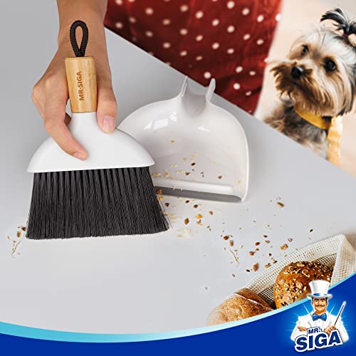 MR.SIGA Mini Dustpan and Brush Set, Bamboo Handle, White, 1 Set | Portable cleaning brush and dustpan combo, handheld brush and dustpan combo with hanging loop - color: White