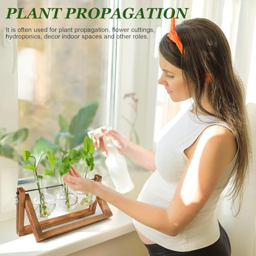 Plant Propagation Station, Plant Terrarium with Wooden Stand | Unique Gardening Birthday Gifts for Women Plants Lovers, Home Office Garden Decor Planter - 3 Bulb Glass Vases - size: 3 Bulb Vase