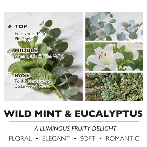 HomeLights Scented Candles - Large Jar Aromatherapy, Natural Soy Wax, 130 Hour Long Burning, Wild Mint & Eucalyptus - color: Wild Mint & Eucalyptus
