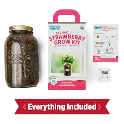 Back to The Roots Organic Strawberry Grow Kit — Grows Year Round, Includes Everything Needed for Planting - style: Strawberry