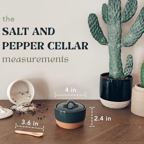 Mora Ceramic Salt and Pepper Cellar Set with Lid - 10 oz Modern Canister/Container/Bowl for Storage, Sea Salt, Spice, Sugar, Countertop - Small Dish/Jar with Wood Spoon, Black & White Crock - color: Charcoal & White