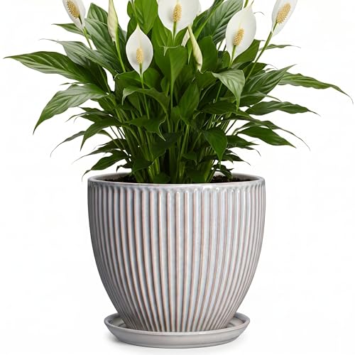 Ceramic Planters for Plants, 8 Inch Flower Pot with Drainage Hole and Saucer, Round Plant Pots for Indoor Plants, Modern Decorative Planter, Home Garden Decor, Gifts for Plant Lovers, Grey - size: 8 Inch, style: Grey