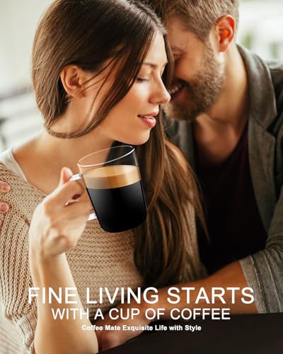 LUXU Glass Coffee Mugs, 17 oz Ice coffee cups,Large Beer Mugs Set of 4 | Everyday Drinkware,Water Glass,Glass Drink Tumblers,Bar Glassware,Borosilicate Glass Mugs with Handle for Hot/Cold Beverages - style: 17 oz coffee mugs