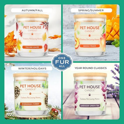 Pet House Candles, Clean Burning Scented Pet Odor Candles, Natural Soy-Based, 60 Hour Burn Time - Snow Cone, 9 oz, 2 Pack - color: Snow Cone, size: Pack of 2