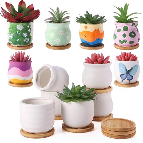 12 Pcs 3.5 Inch Mini Succulent Pots with Bamboo Tray White Ceramic Pots Color Your Own DIY Small Planters Containers for Flower Cactus with Drainage Hole for Plant Lover - size: 3.5 Inch