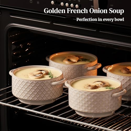 DOWAN Soup Bowls with Handles, Oven Safe French Onion Soup Bowls, 26 oz Large Soup Bowl for Chilli, Beef Stew, Ceramic Soup Crocks Set of 4, Microwave & Dishwasher Safe